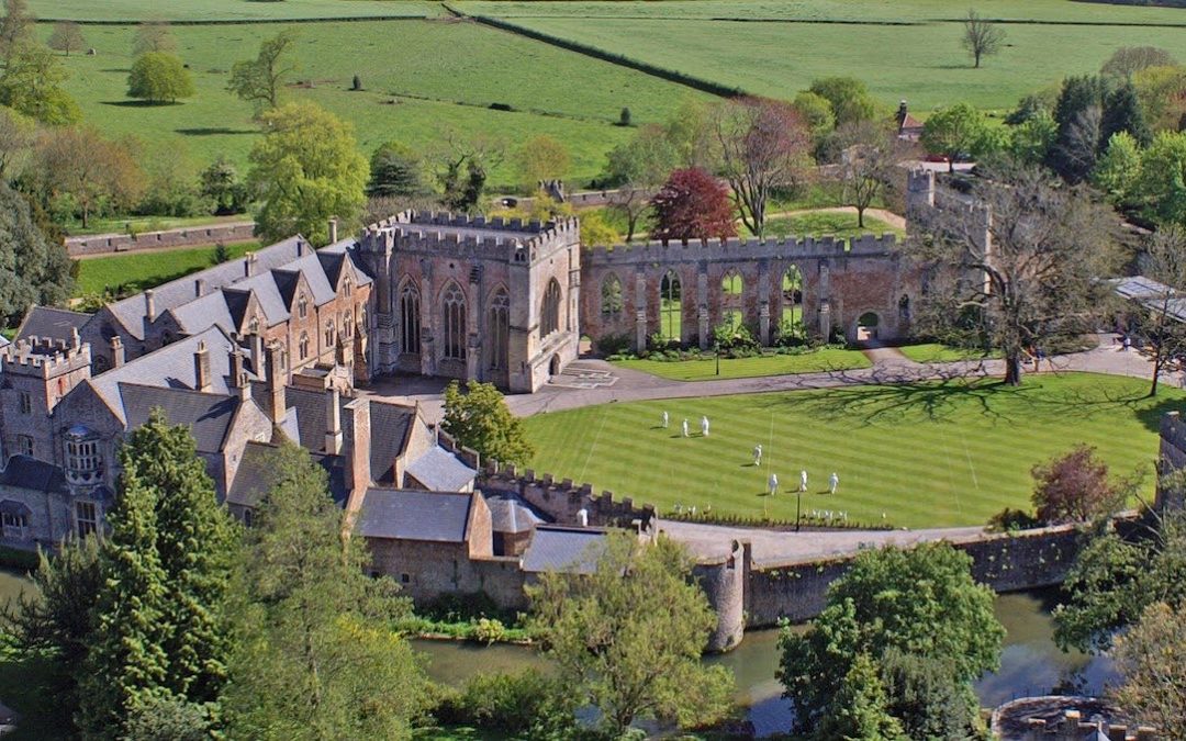 Assistant Visitor Experience Manager