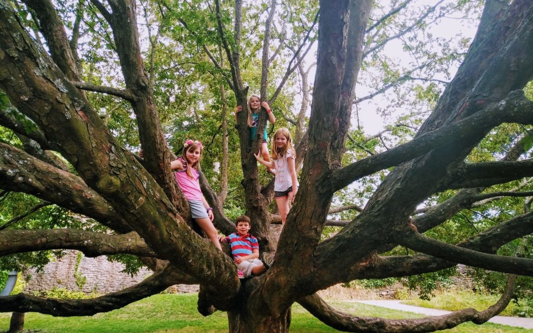 10 Ideas for Fun Days Out with the Kids in Somerset