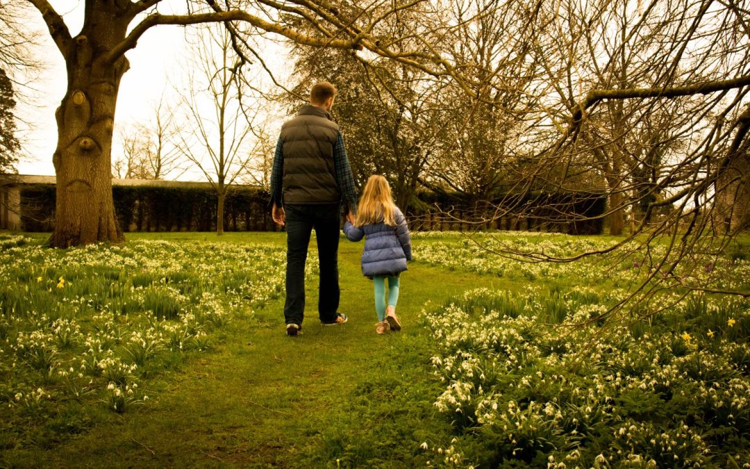 Carpets of snowdrops to greet visitors during February’s Snowdrop Month