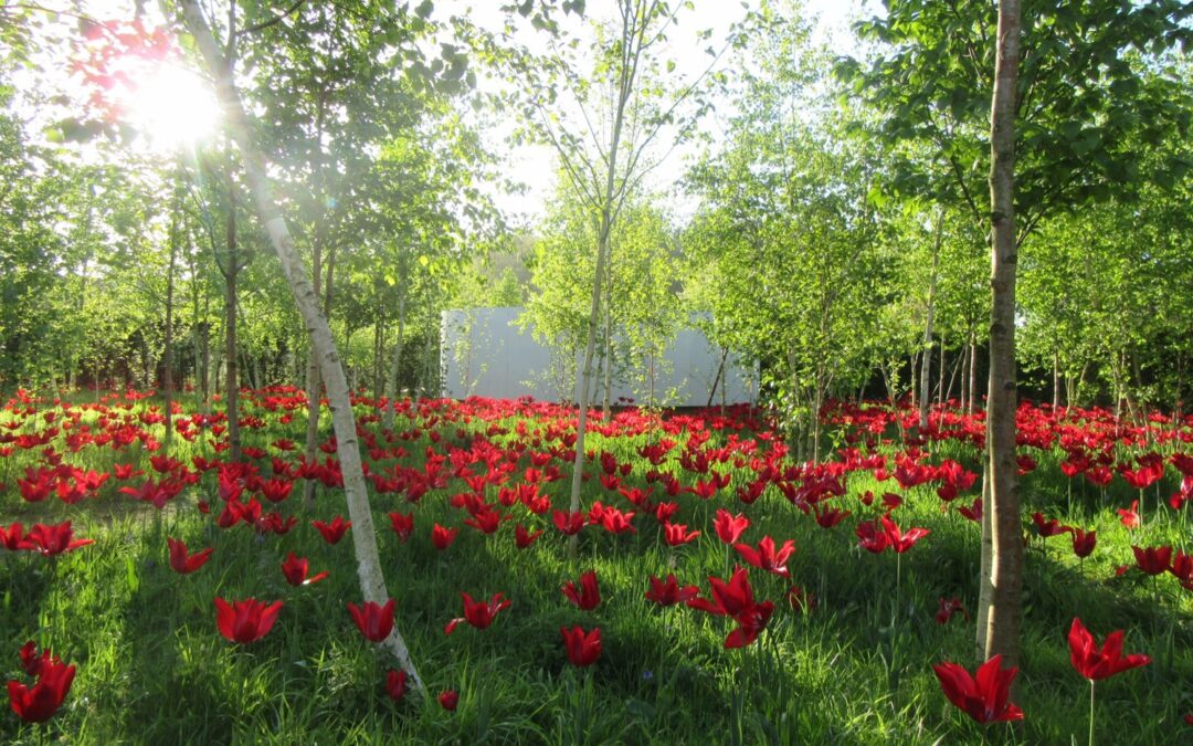 Gardener’s Corner: April 2024