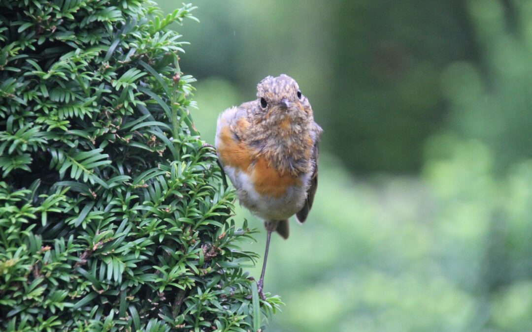 Young Photographer Exhibition Now Open at The Bishop’s Palace