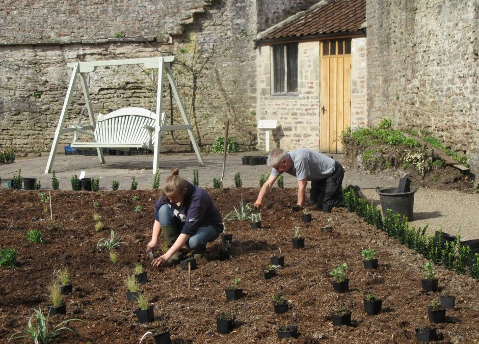 Garden Transformations at The Bishop’s Palace