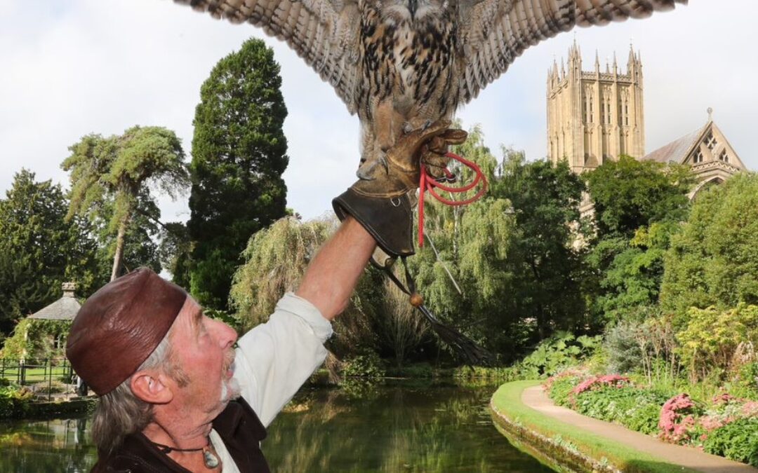 From Viking Camps To Soaring Falcons; it’s Vikings and Falconry Day at The Bishop’s Palace