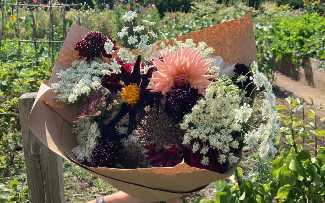 Beginners Guide to Growing Cut Flowers Workshop