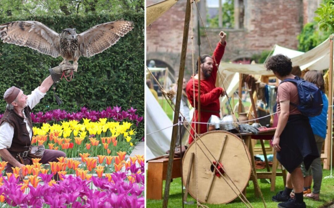 Falconry and Vikings Day