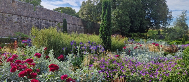 Gardener’s Corner: June 2025