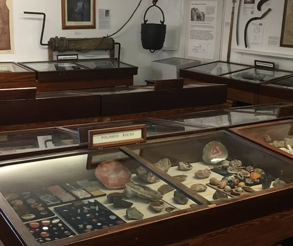 Wells Museum (3) Display cabinets within Wells Museum
