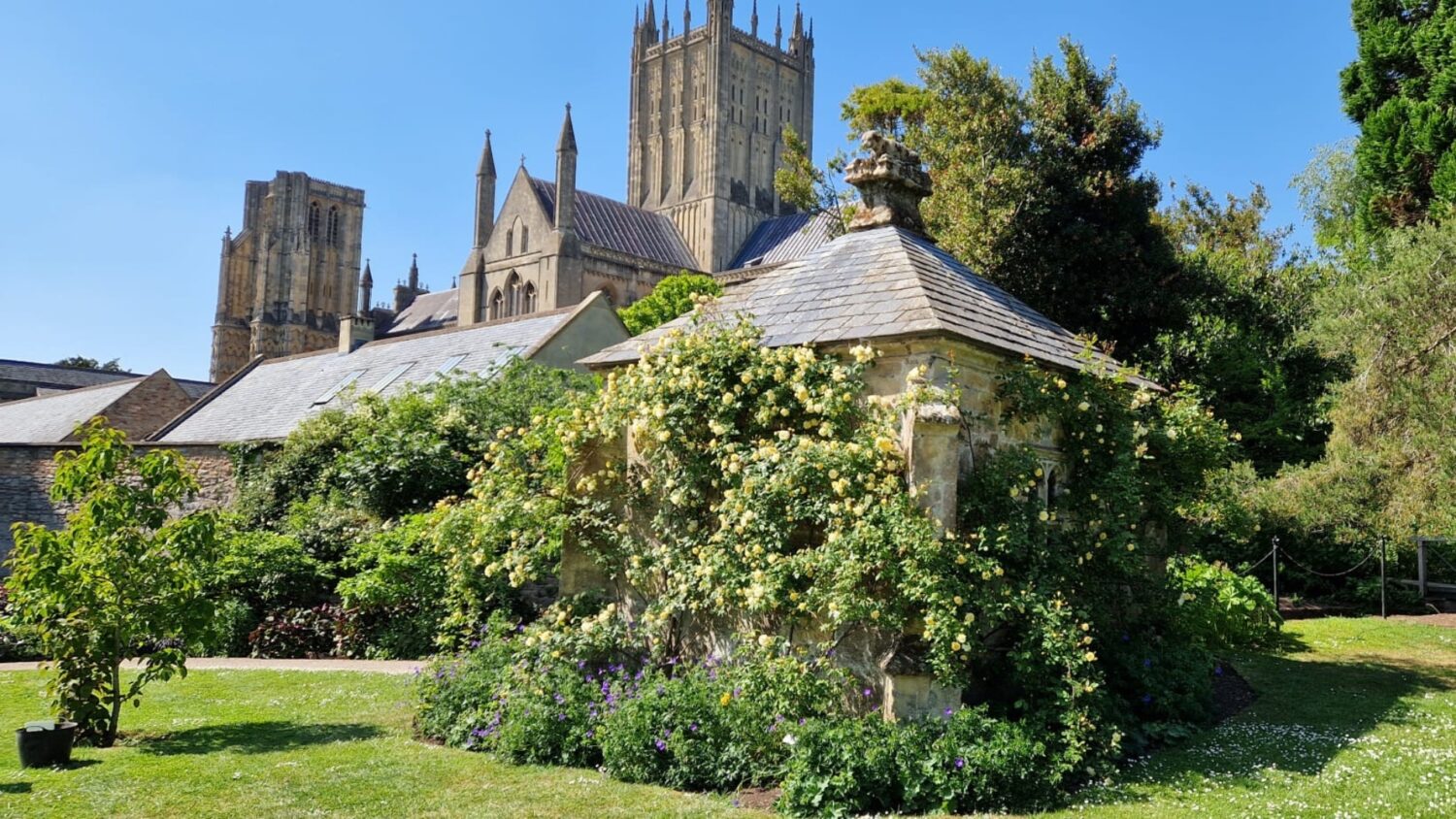 14 acres of RHS partner gardens