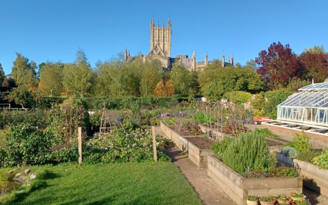Somerset Food Trail – Community Garden Tour