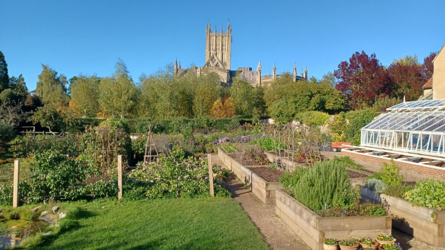 Somerset Food Trail - The Bishop's Palace Community Garden (png)