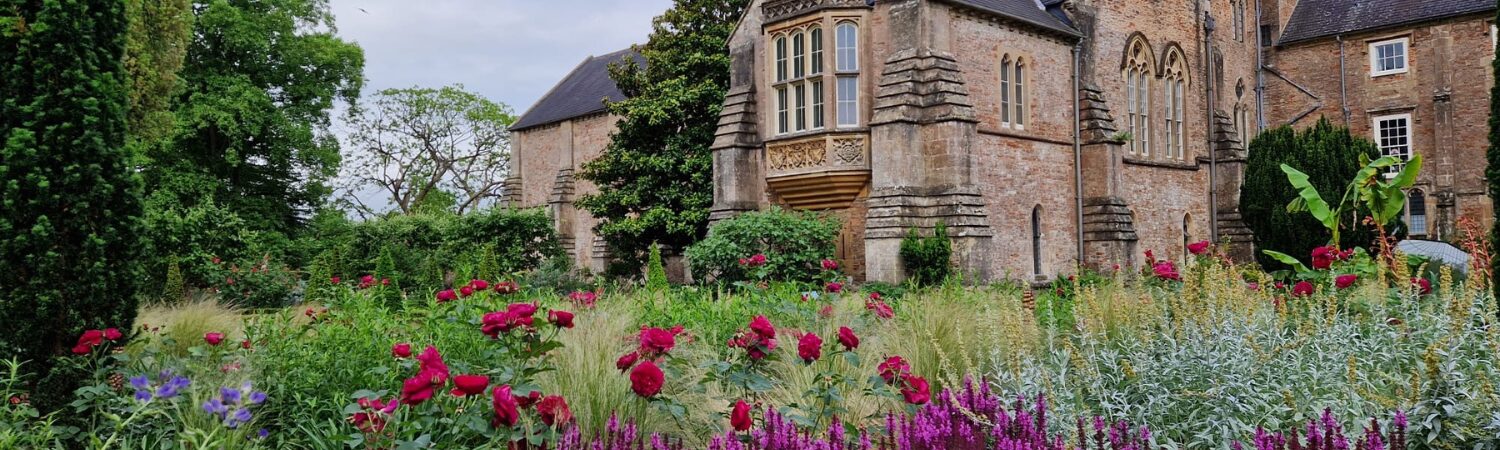 Visit The Bishop's Palace and Gardens, Wells