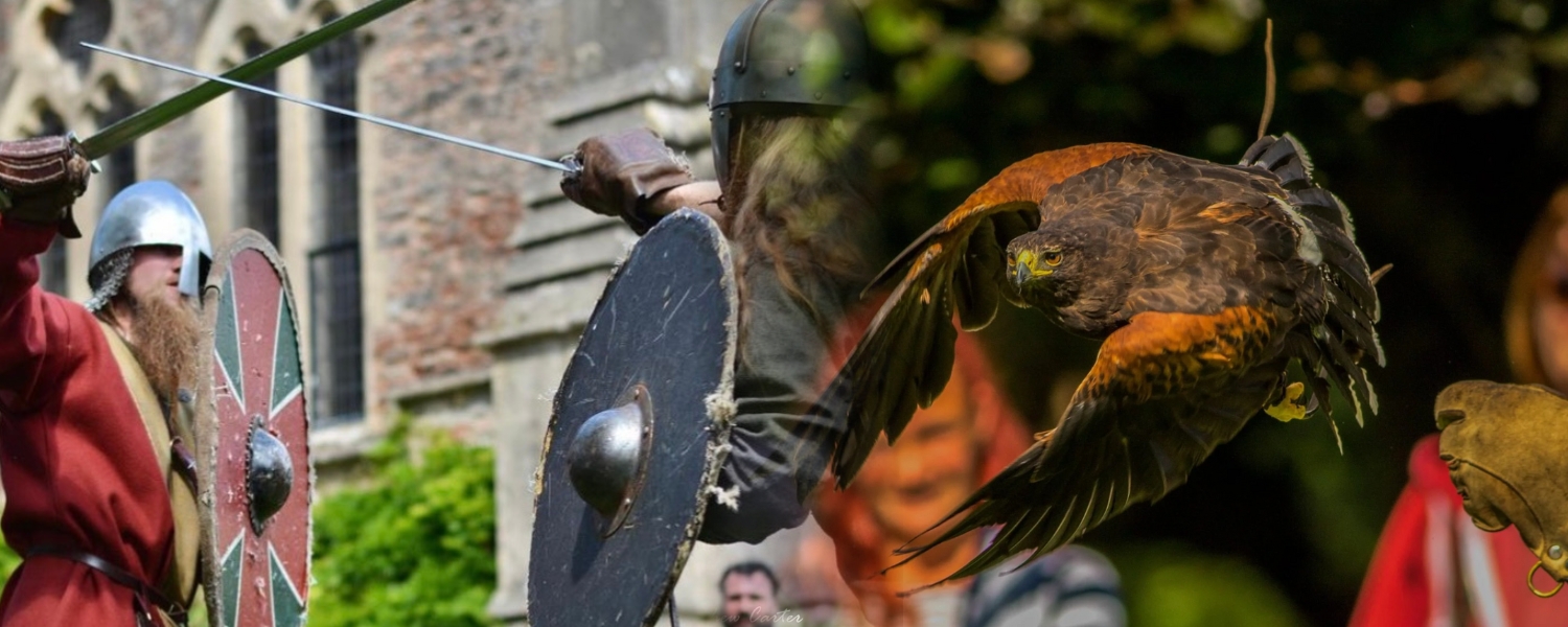 Vikings & Archery Day Vikings & Archery Day