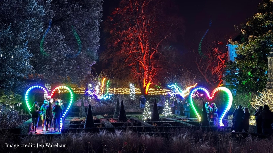 An image of the Christmas Illuminations in the gardens of The Bishop's Palace in Wells, Somerset.