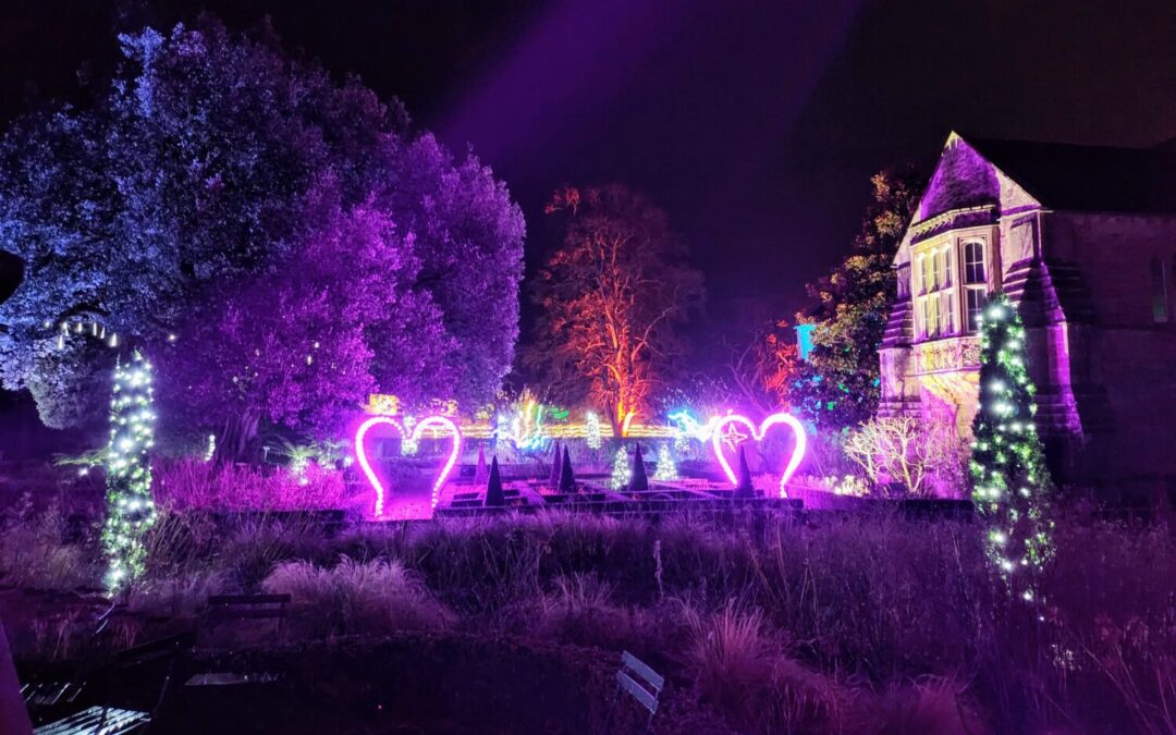 Sparkle – Christmas Illuminations