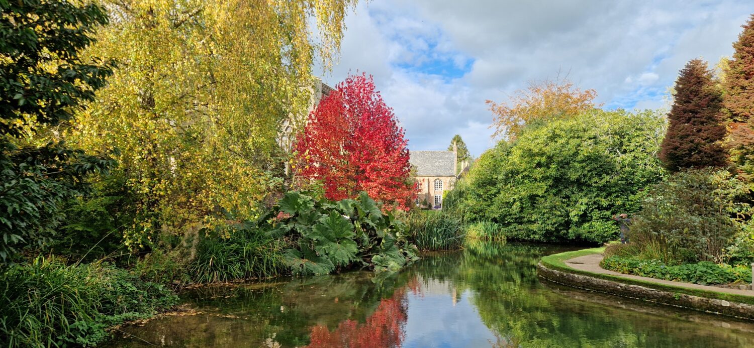 Gardener’s Corner November 2025 Gardener's Corner November 2025