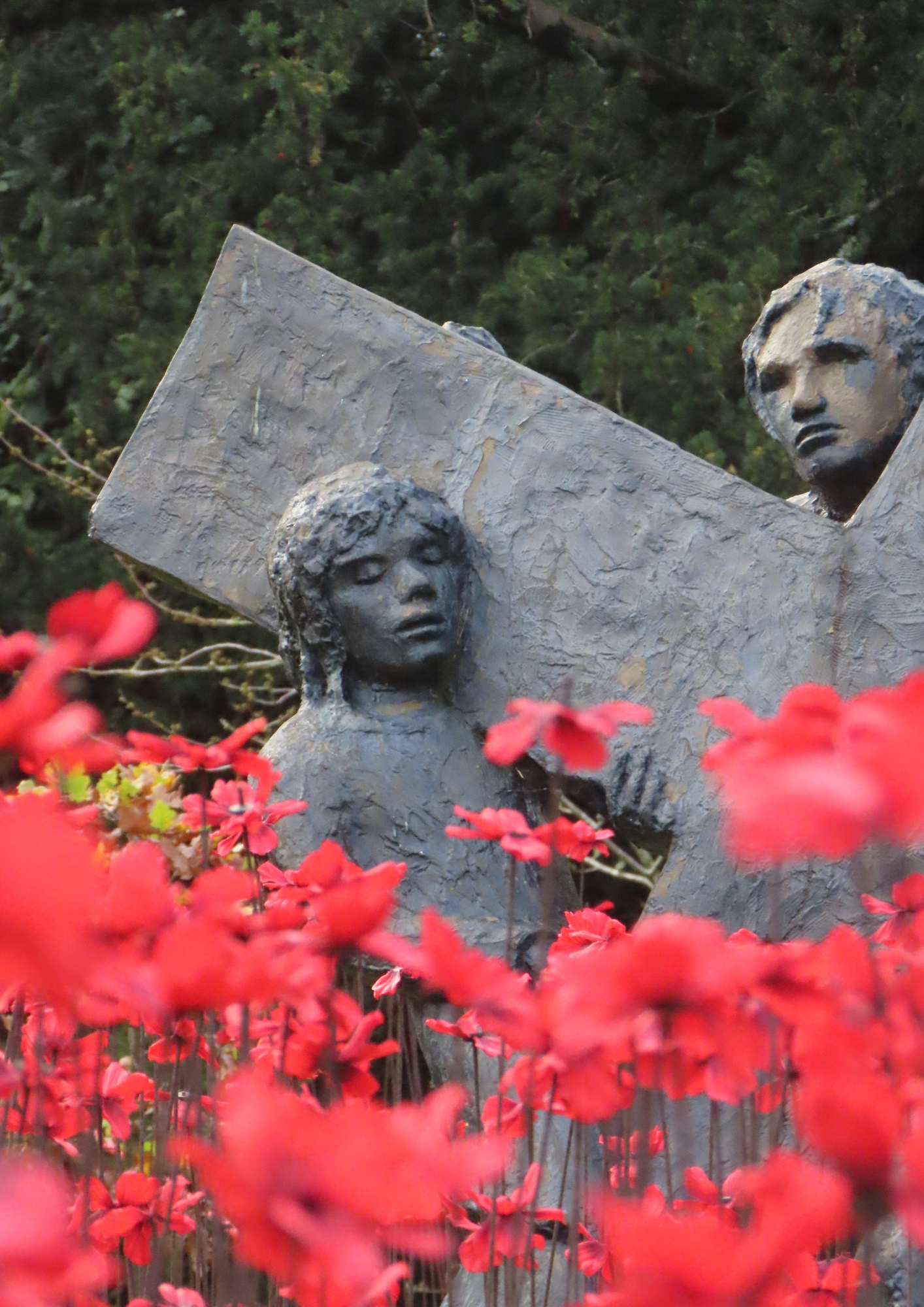 An image of the Somerset Poppy Display
