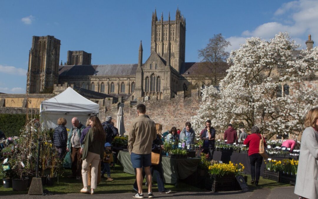 Rare Plant Fair 2026