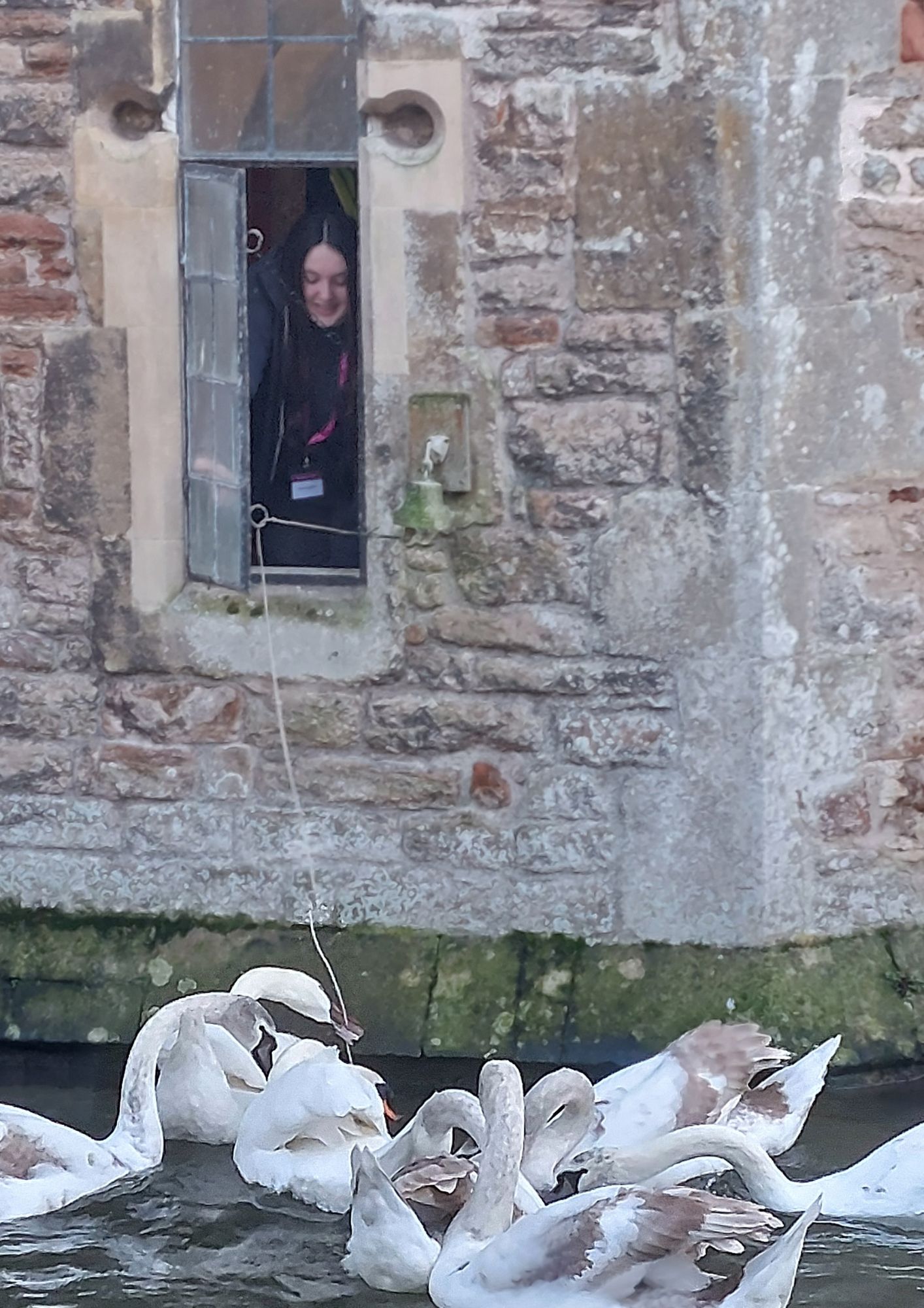 An image of a work Experience Placement at The Bishop's Palace