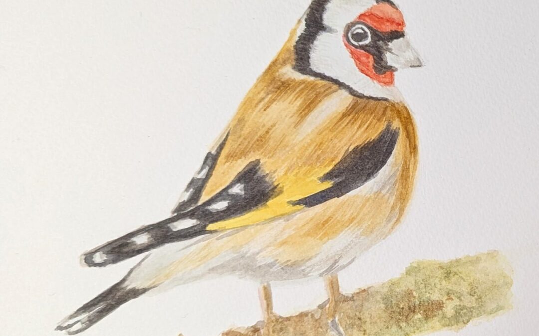 Watercolour Birds Workshop