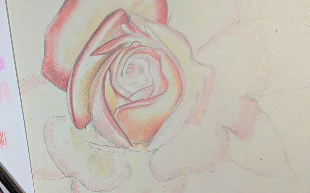 Colouring Pencils Botanical Workshop