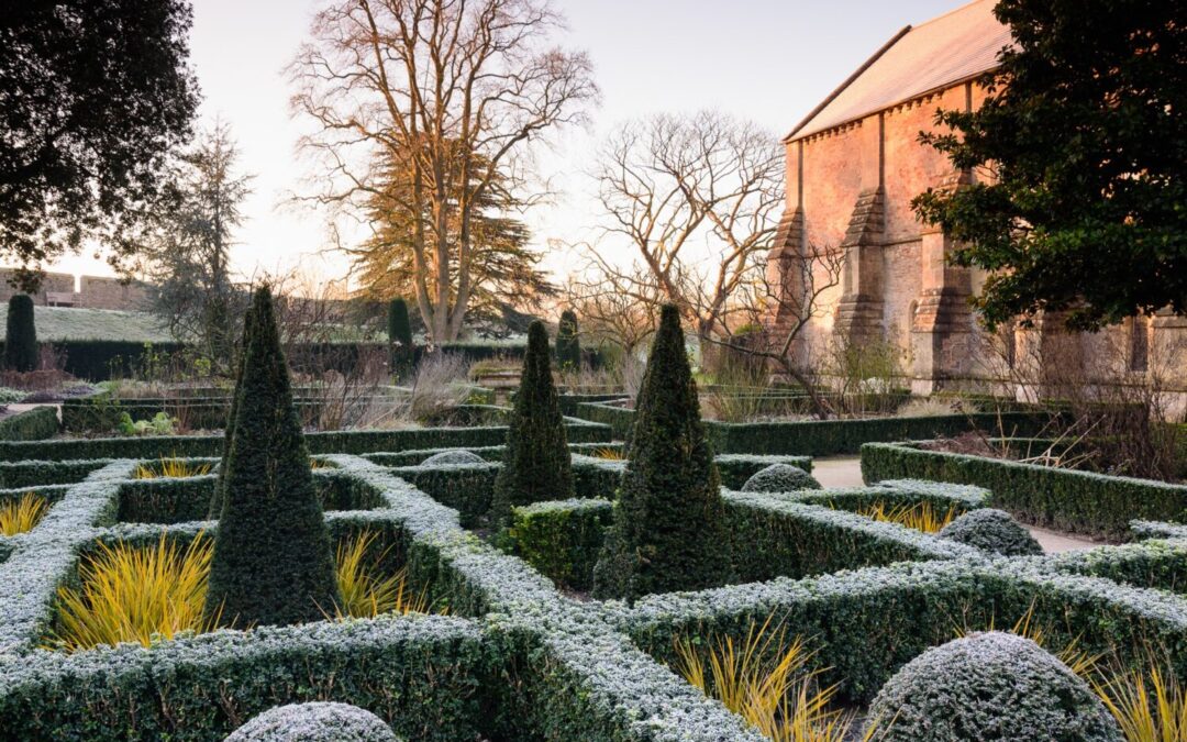 Exclusively for Friends: Winter Gardening Walk and Talk