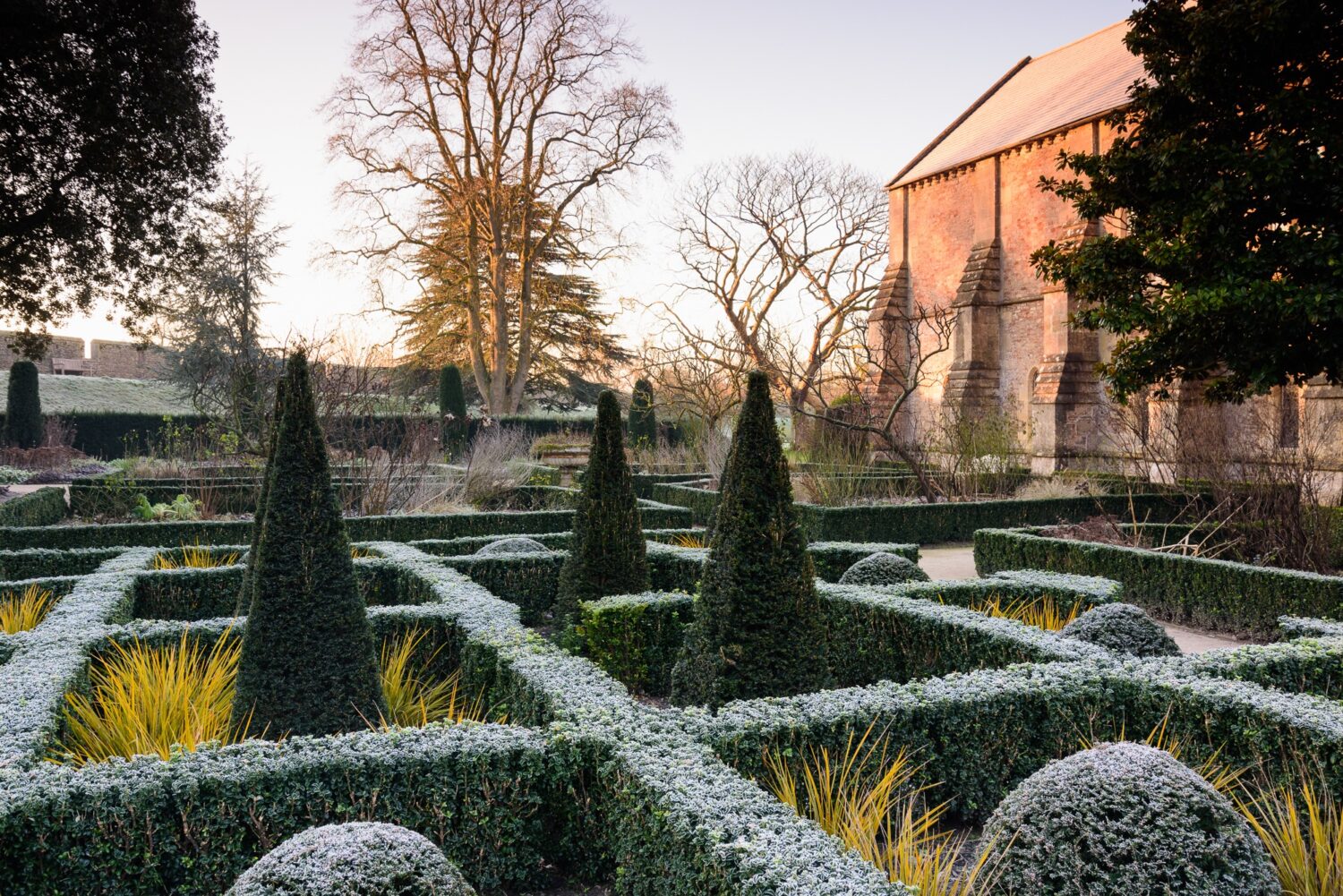 Winter Garden Image credit: Carole Drake