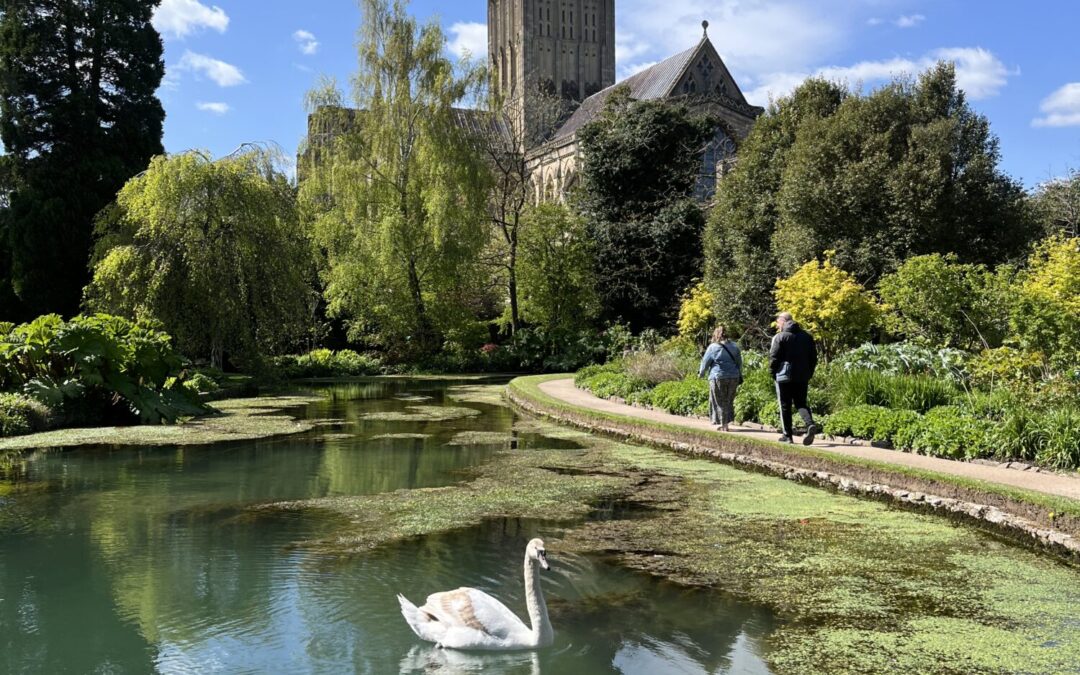 Exclusively for Friends: Bring Two Guests for Free