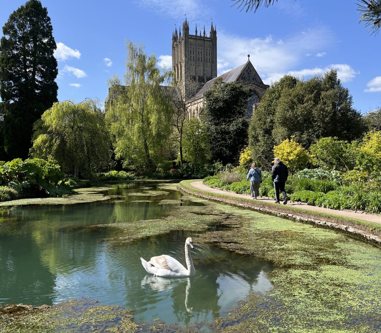 Bring Two Guests for Free at The Bishop's Palace.