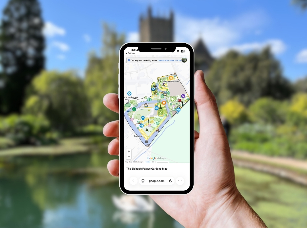 An image of The Bishop's Palace Google Interactive Garden Map