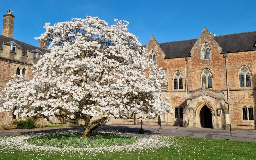 Gardener’s Corner: March 2026