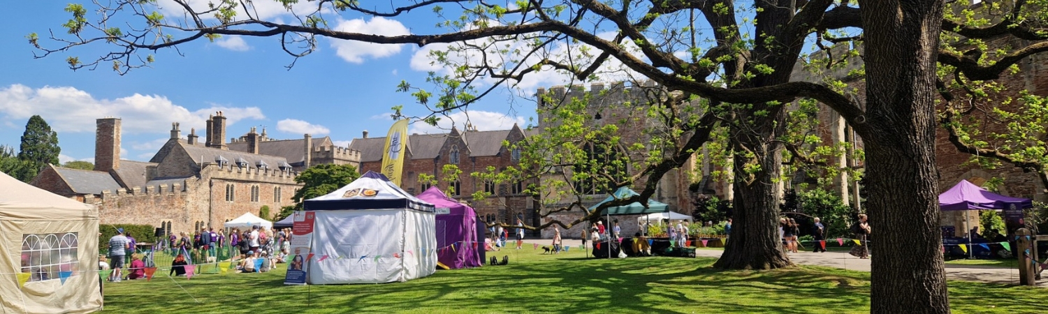 An image of the family open day at The Bishop's Palace in Wells, Somerset. A day of family activities, games, the launch of the new splash pad and more, all with free entry.