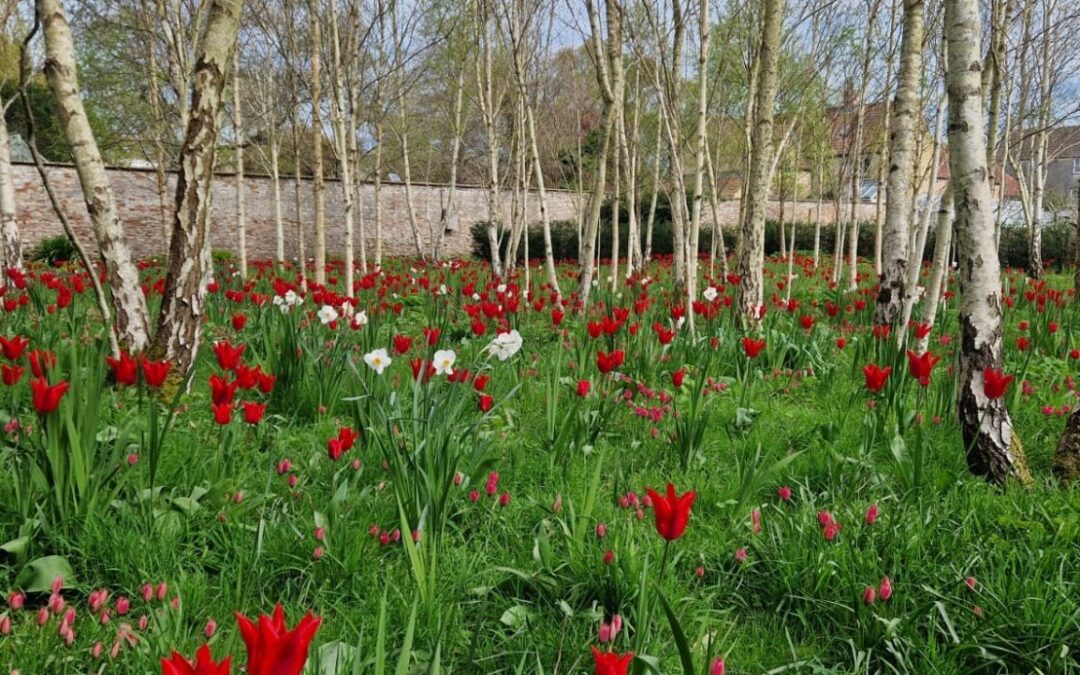 Gardener’s Corner: April 2026