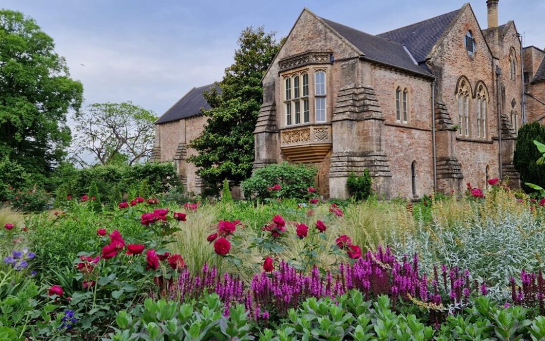 Summer Late Openings