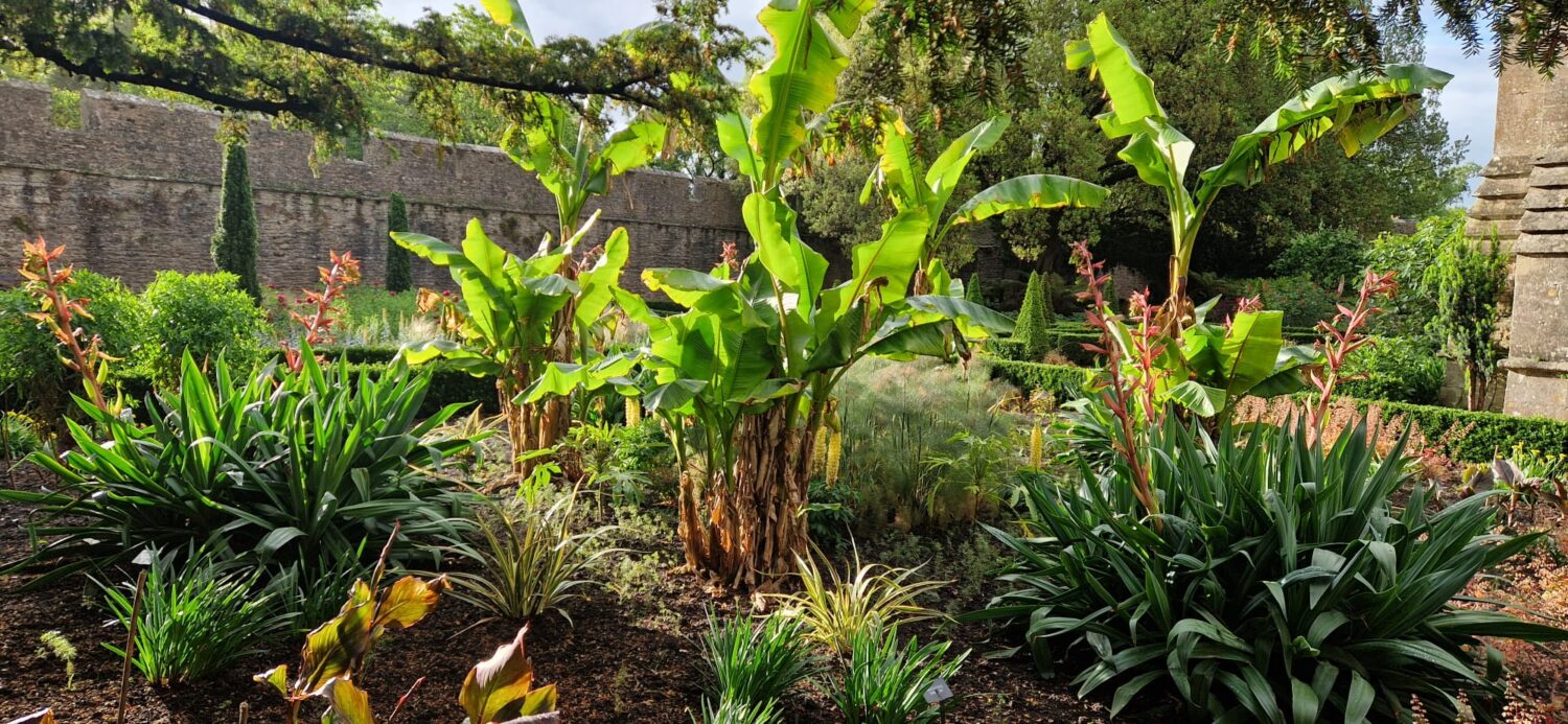 Midsummer Early Garden Opening & Dawn Chorus