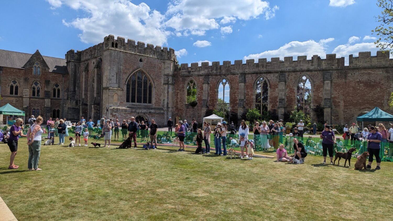 Dog show at The Bishop's Palace Garden Fete