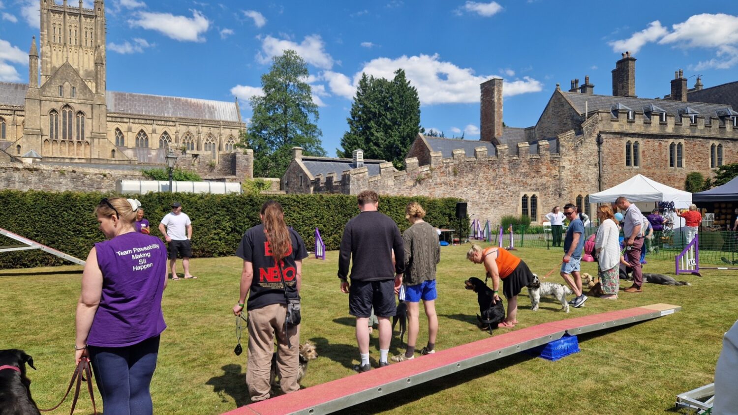 Dog Show at The Bishop's Palace Garden Fete