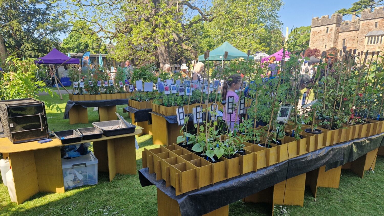 Stallholders at The Bishop's Palace Garden Fete