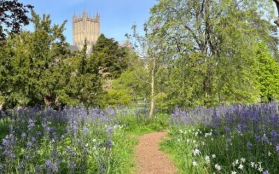 Gardener’s Corner: May 2026