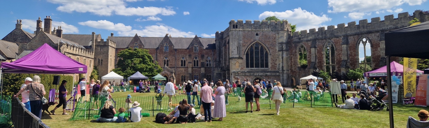 An image of The Bishop's Palace Garden Fete. A family fun day out in Wells, Somerset.