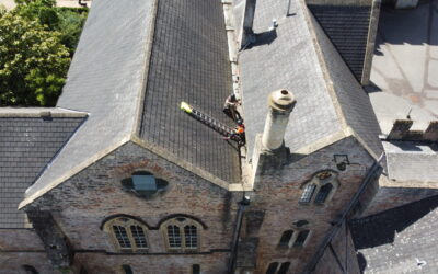 Palace Roof Tile Repairs