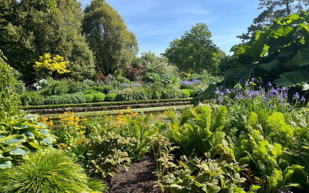 Gardener’s Corner: June 2026