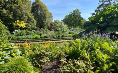 Gardener’s Corner: June 2026