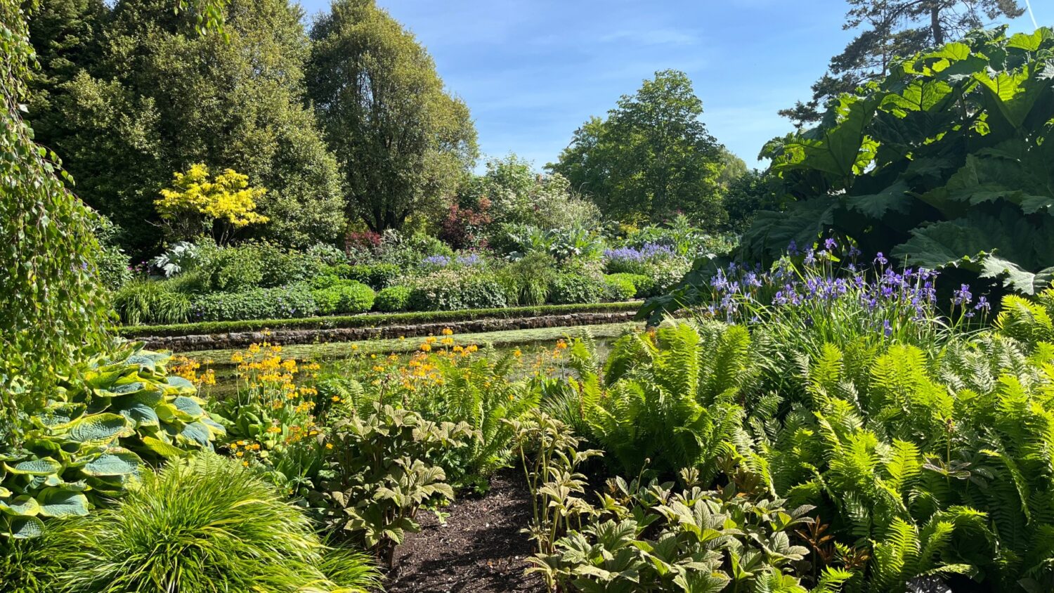 An image of the Wells Border at The Bishop's Palace in June 2026