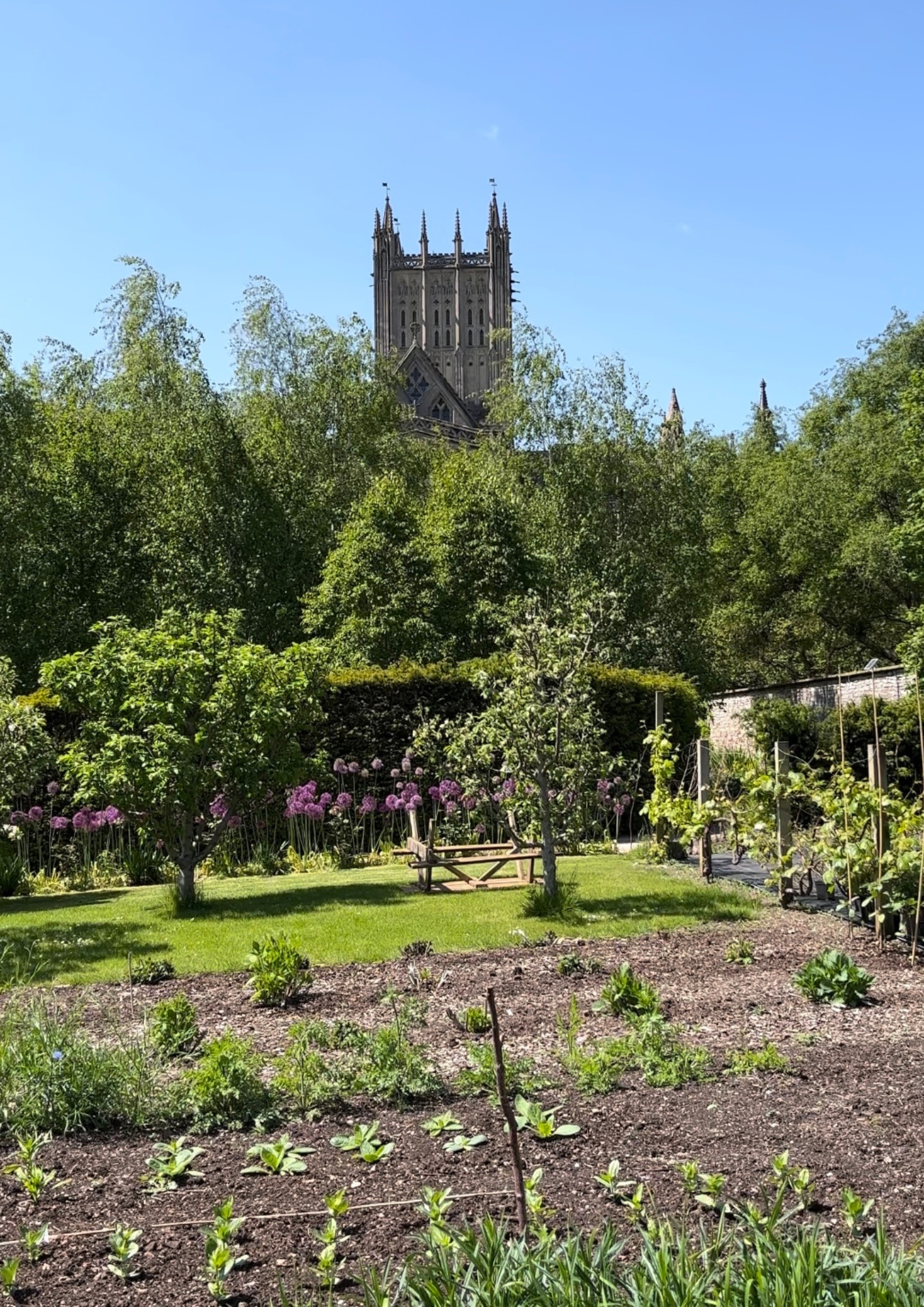An image of The Bishop's Palace Community Garden - the location for the writing for wellbeing course.