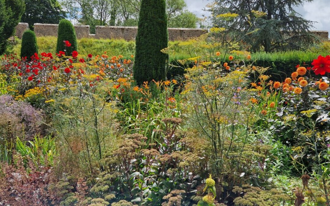 Gardener’s Corner: July 2026
