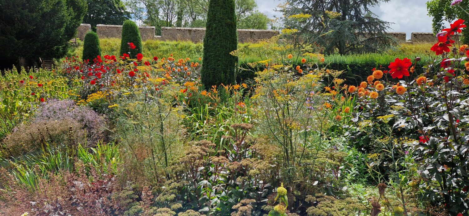 The Bishop's Palace Hot Border - Gardener's Corner July