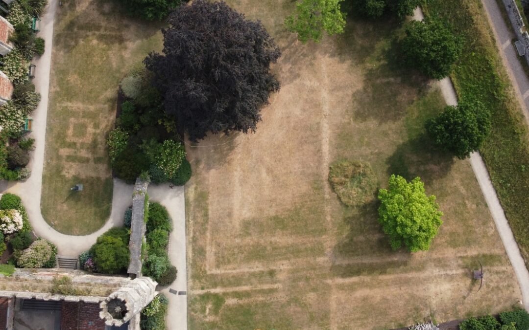 Gardener’s Corner: August 2026