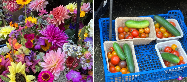 Work experience cut flowers and veg