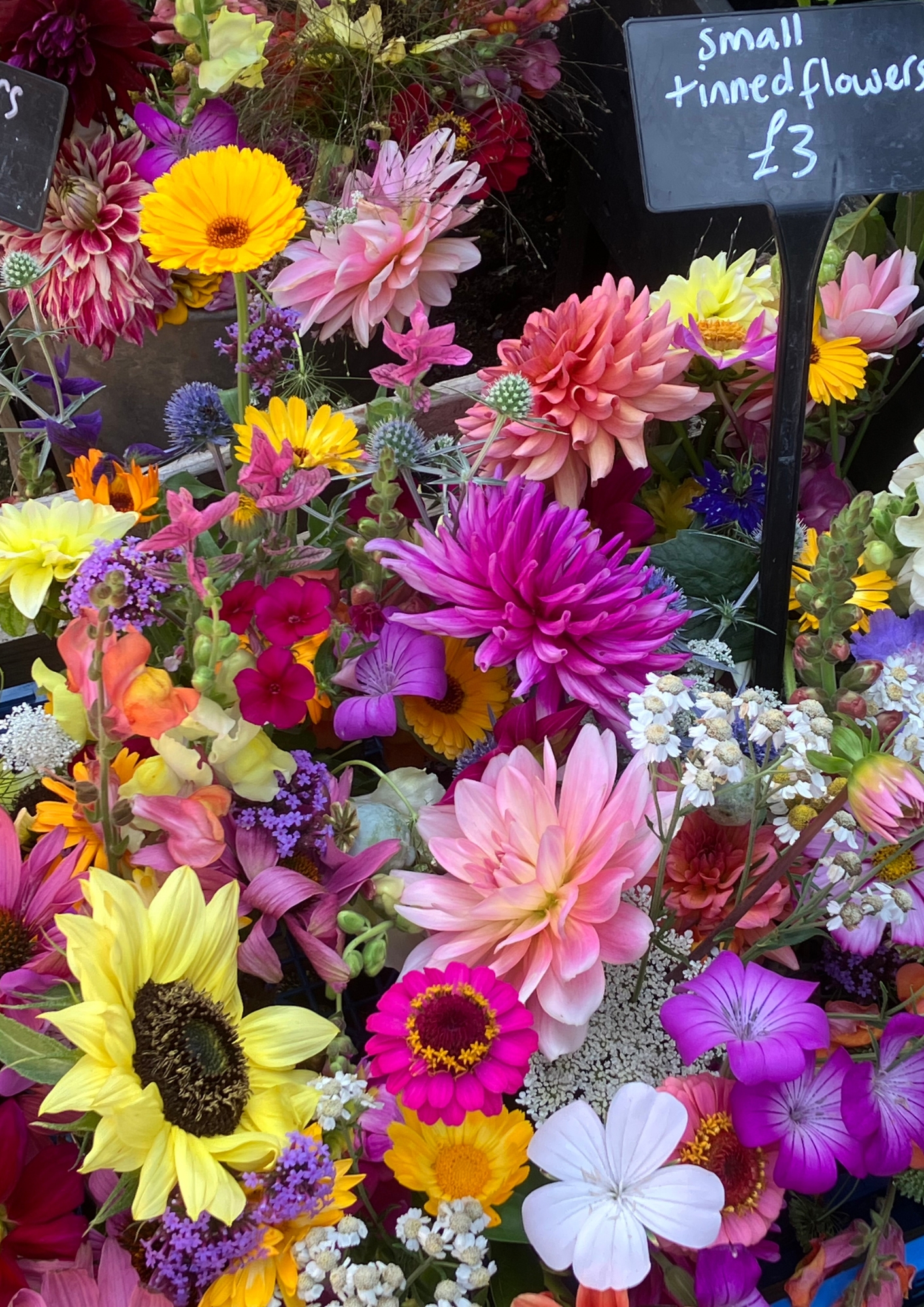 Work experience cut flowers and veg