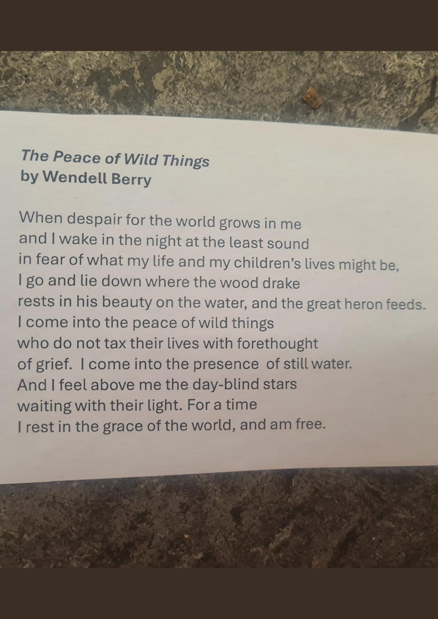 Writing for wellbeing course at The Bishop's Palace